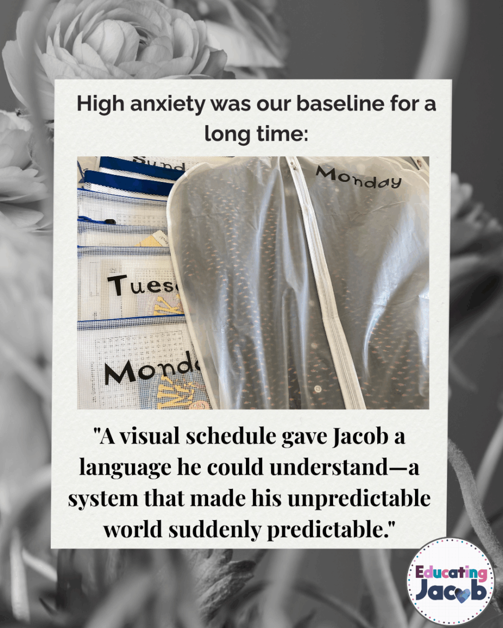 A-visual-schedule-gave-Jacob-a-language-he-could-understand