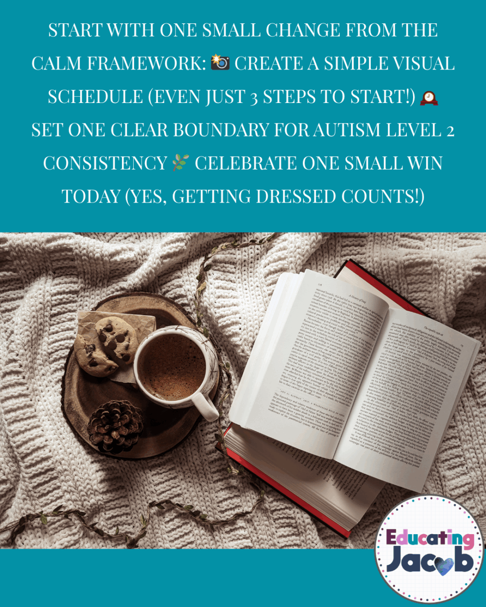 CALM-Framework-📸-Create-a-simple-visual